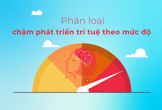 Phân loại chậm phát triển trí tuệ theo mức độ