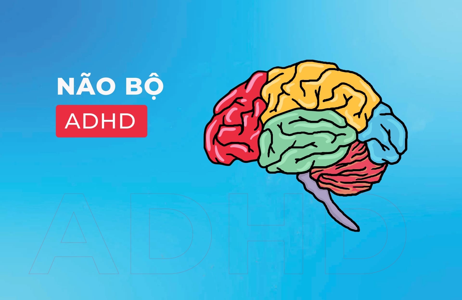 Não bộ ADHD